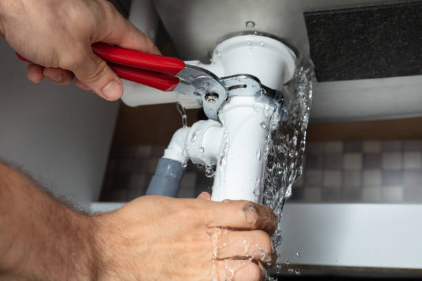 Best Mold removal after water damage  in Waterman, IL