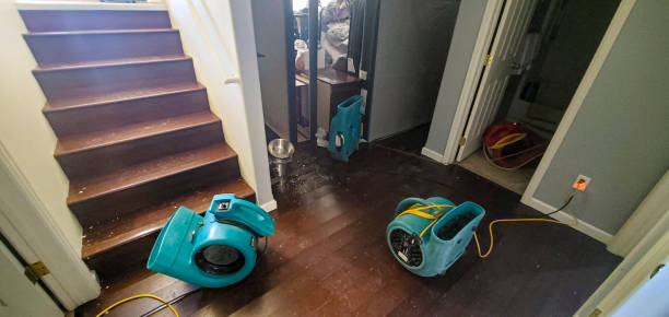 Best Fire Damage Restoration  in Waterman, IL