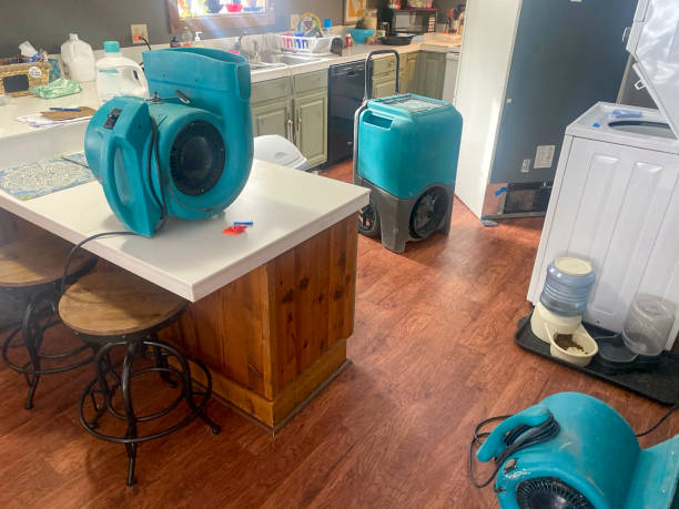 Best Carpet water damage restoration  in Waterman, IL