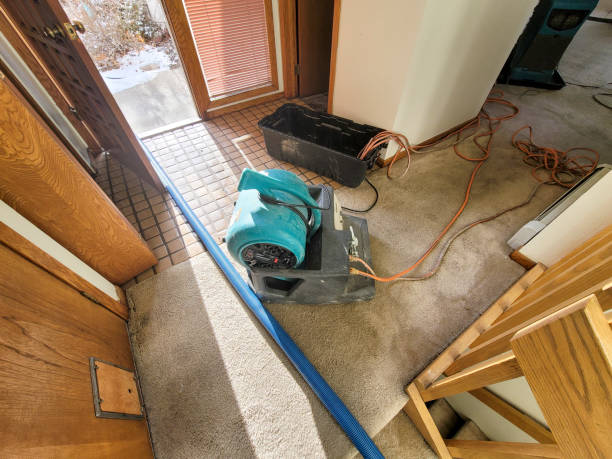 Best Commercial water damage restoration  in Waterman, IL