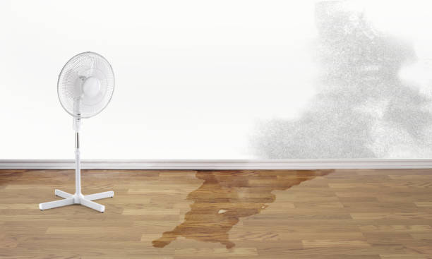 Best Water damage restoration near me  in Waterman, IL
