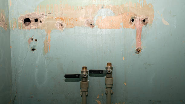  Waterman, IL Water damage restoration Pros