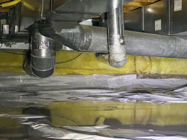Best Carpet water damage restoration  in Waterman, IL