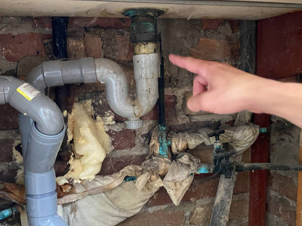 Best Local water damage restoration  in Waterman, IL