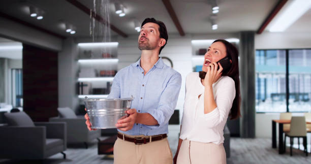 Best Flooded house restoration  in Waterman, IL